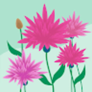 Meet your Posher, Ayesha